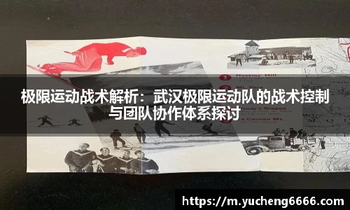 77体育电脑版