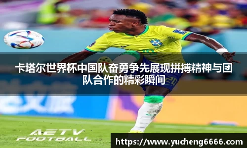 77体育官网