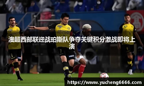77体育