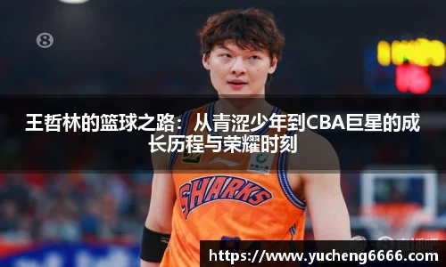 王哲林的篮球之路：从青涩少年到CBA巨星的成长历程与荣耀时刻