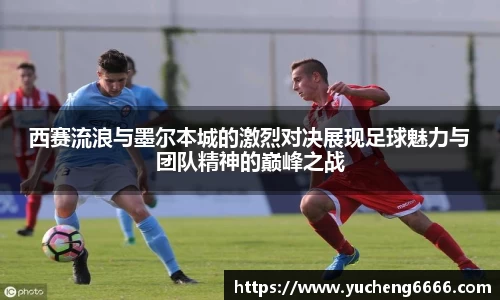 77体育电脑版